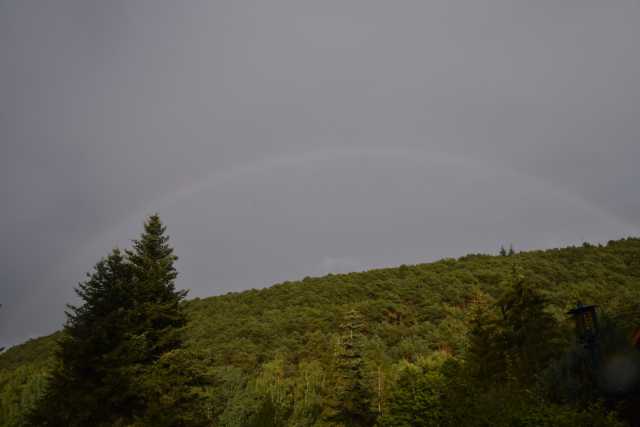 DSC_6930.JPG