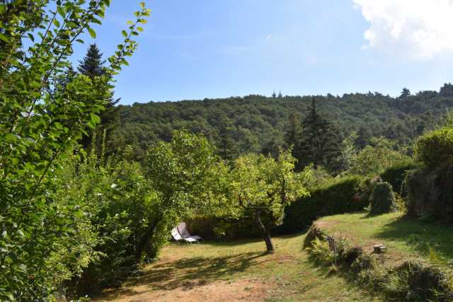 DSC_6969.JPG
