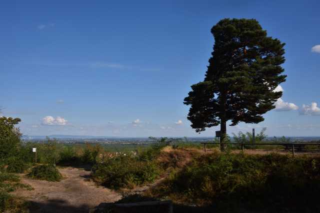 DSC_7027.JPG