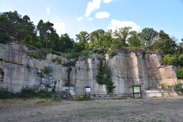 DSC_7033.JPG