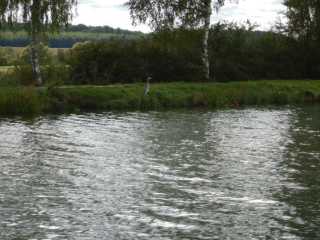 DSCN5808.JPG