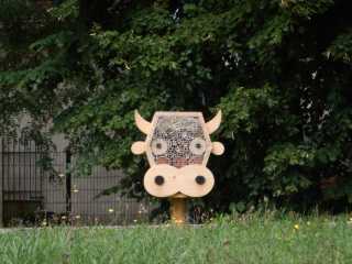 DSCN5811.JPG
