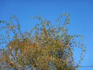 DSCN5893.JPG