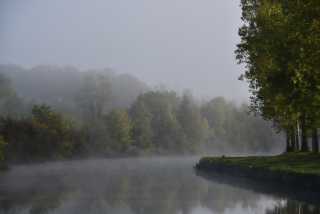 DSC_7200.JPG