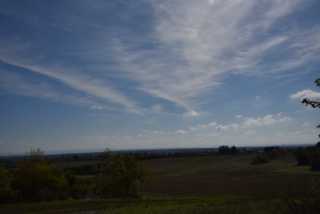 DSC_7242.JPG