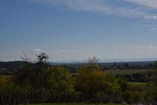 DSC_7245.JPG