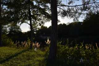 DSC_7278.JPG