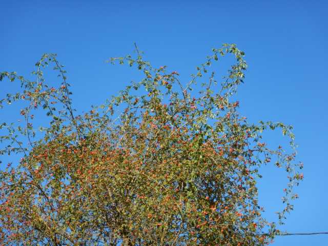 DSCN5893.JPG