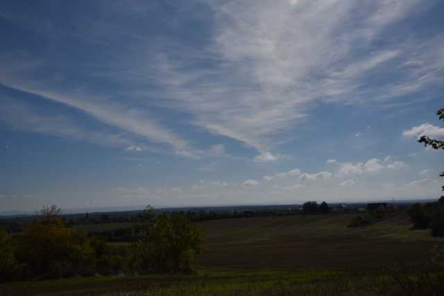 DSC_7242.JPG