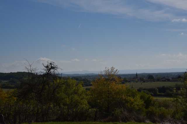 DSC_7245.JPG