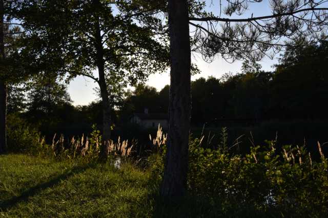 DSC_7278.JPG