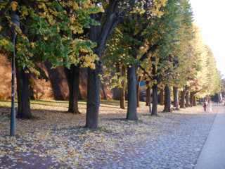DSCN5969.JPG