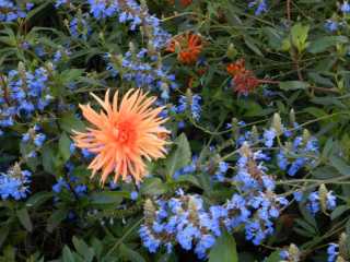 DSCN5976.JPG