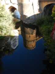 DSCN5991.JPG