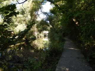 DSCN5996.JPG