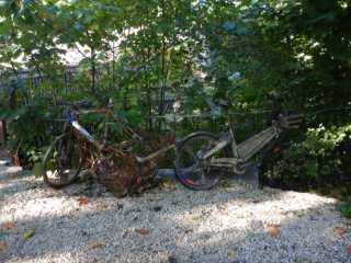 DSCN5999.JPG