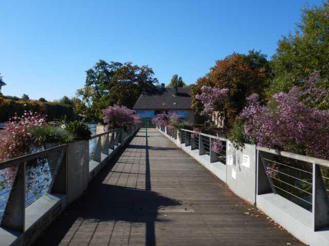 DSCN6015.JPG