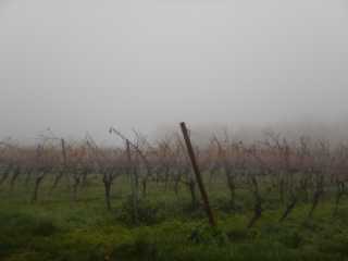 DSCN6104.JPG