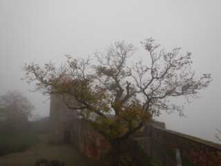 DSCN6110.JPG