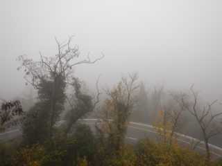 DSCN6114.JPG