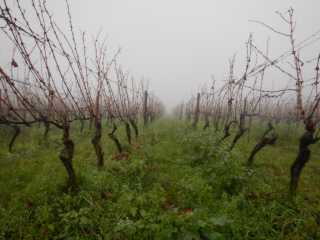 DSCN6119.JPG