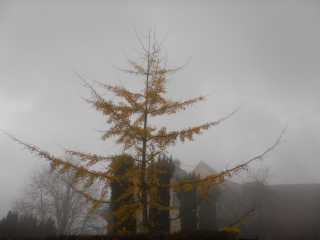 DSCN6121.JPG