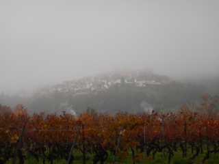 DSCN6125.JPG