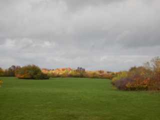 DSCN6162.JPG