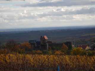 DSCN6163.JPG