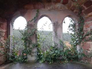 DSCN6171.JPG