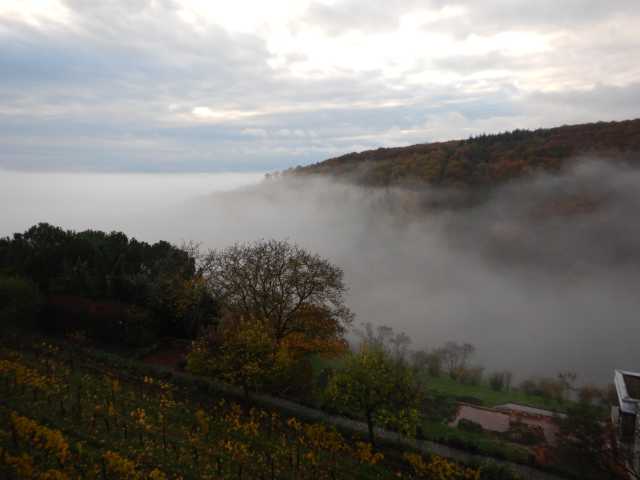 DSCN6077.JPG