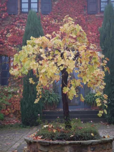 DSCN6095.JPG