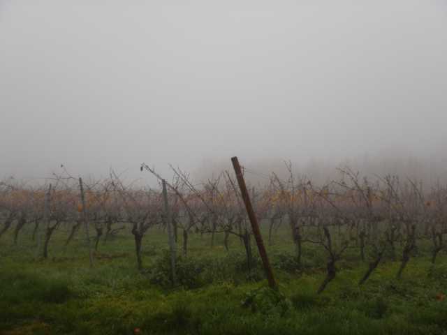 DSCN6104.JPG