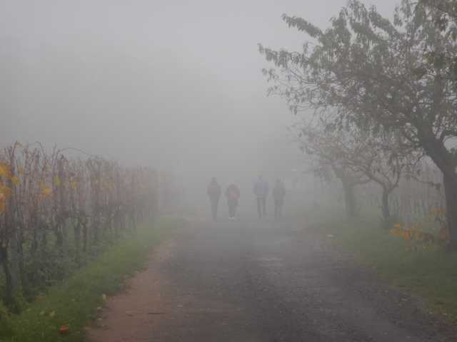DSCN6105.JPG