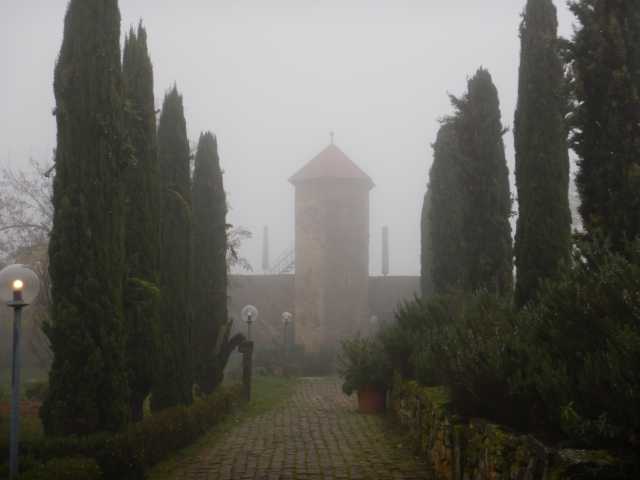 DSCN6109.JPG