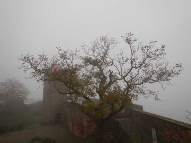 DSCN6110.JPG