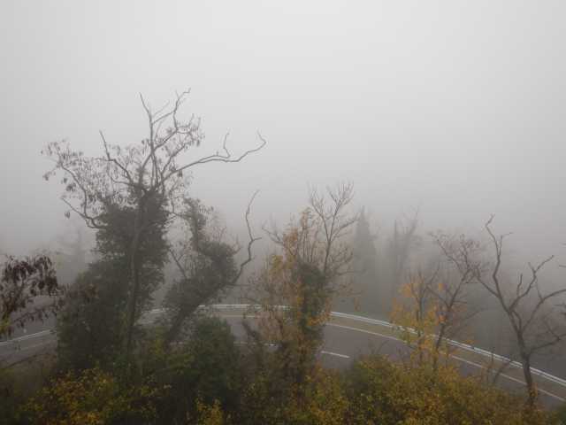 DSCN6114.JPG
