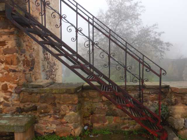 DSCN6117.JPG