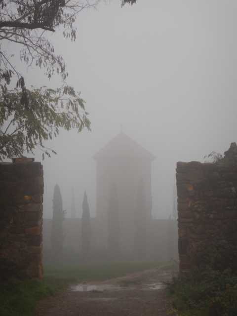 DSCN6118.JPG