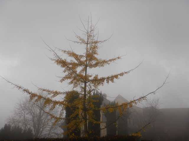 DSCN6121.JPG