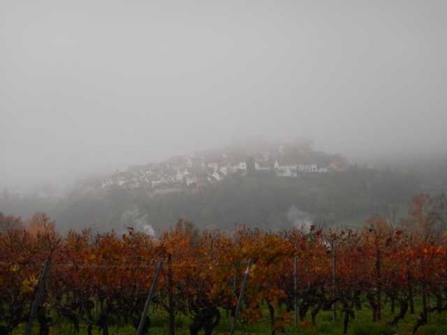 DSCN6125.JPG