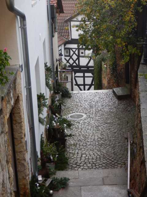 DSCN6142.JPG