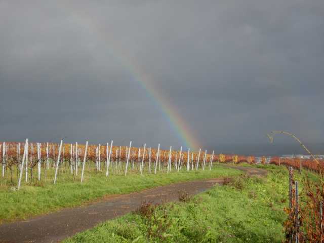DSCN6151.JPG
