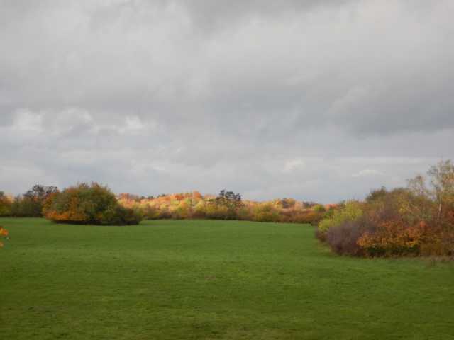DSCN6162.JPG
