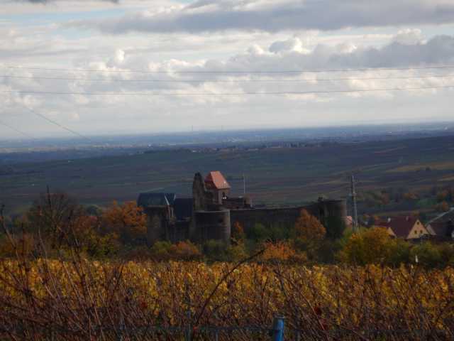 DSCN6163.JPG