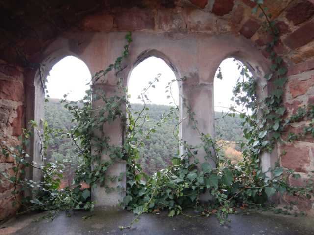 DSCN6171.JPG