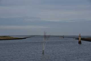 DSC_7398.JPG