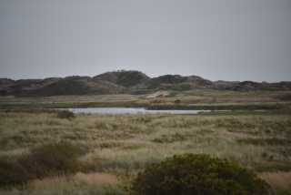 DSC_7467.JPG