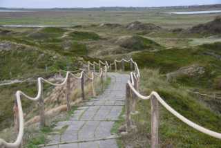 DSC_7489.JPG