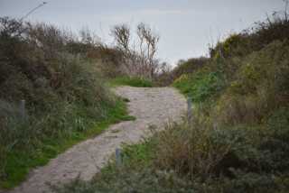 DSC_7499.JPG
